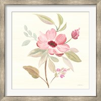 Petals and Blossoms VI Fine Art Print