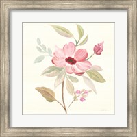 Petals and Blossoms VI Fine Art Print