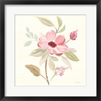 Petals and Blossoms VI Framed Print