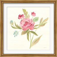 Petals and Blossoms V Fine Art Print