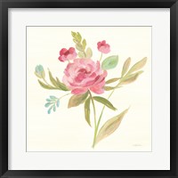 Petals and Blossoms V Framed Print