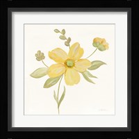 June Bloom II Framed Print