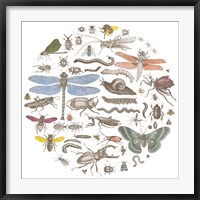 Insect Circle I Bright Fine Art Print