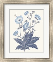 Blue Botanical VI Fine Art Print