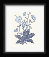 Blue Botanical VI Framed Print