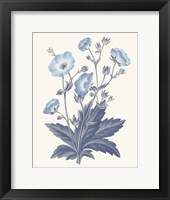 Blue Botanical VI Fine Art Print