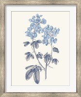 Blue Botanical III Fine Art Print