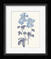 Blue Botanical III Framed Print