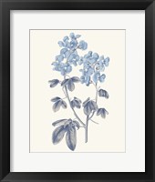 Blue Botanical III Fine Art Print