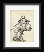 Breed Studies I Framed Print