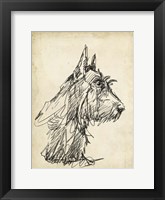 Breed Studies I Framed Print