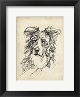 Breed Studies V Fine Art Print