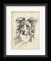 Breed Studies V Fine Art Print