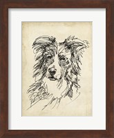 Breed Studies V Fine Art Print