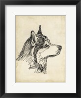 Breed Studies X Fine Art Print