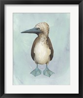 Watercolor Beach Bird I Framed Print