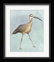 Watercolor Beach Bird II Framed Print