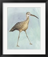 Watercolor Beach Bird II Framed Print