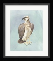 Watercolor Beach Bird IV Framed Print