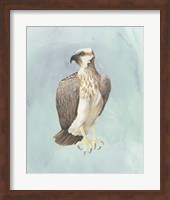 Watercolor Beach Bird IV Fine Art Print