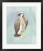 Watercolor Beach Bird IV Framed Print