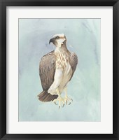 Watercolor Beach Bird IV Framed Print