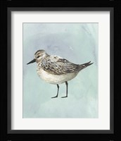 Watercolor Beach Bird V Framed Print