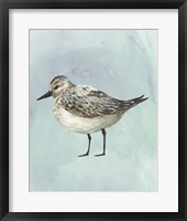 Watercolor Beach Bird V Framed Print