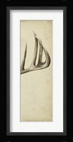 Triptych Whitetail III Framed Print