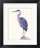 Heron Study I Fine Art Print