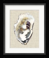 Oyster Shell Study I Fine Art Print