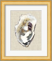 Oyster Shell Study I Fine Art Print