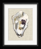 Oyster Shell Study II Framed Print