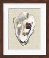 Oyster Shell Study II Fine Art Print