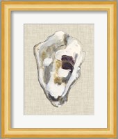 Oyster Shell Study II Fine Art Print