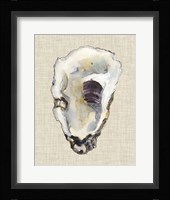 Oyster Shell Study III Fine Art Print