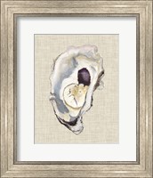Oyster Shell Study IV Fine Art Print