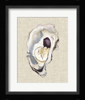 Oyster Shell Study IV Framed Print