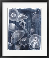 Moon Jellies I Framed Print