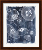 Moon Jellies II Fine Art Print
