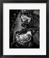 Little Cute Monkeys Black & White Fine Art Print