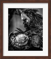 Little Cute Monkeys 2 Black & White Fine Art Print
