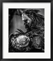Little Cute Monkeys 2 Black & White Fine Art Print