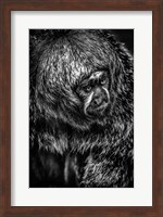 Little Monkey 4 Black & White Fine Art Print