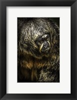 Little Monkey 4 Fine Art Print