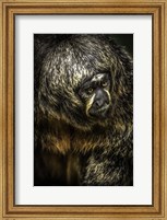 Little Monkey 4 Fine Art Print