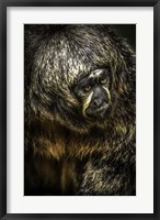 Little Monkey 4 Fine Art Print