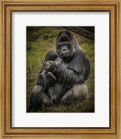 The Male Gorilla Black Fine Art Print