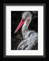 The Stork 7 Fine Art Print