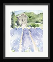 Lavender Fields I Framed Print